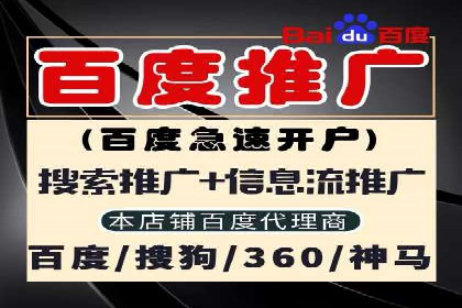 百度竞价公司成功案例揭秘：如何快速提升品牌曝光度